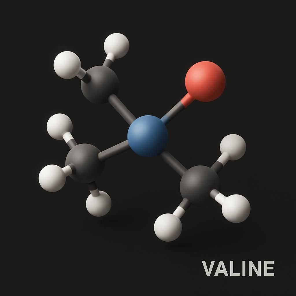 explorez les secrets de la valine, un acide aminé essentiel qui joue un rôle clé dans votre santé et votre bien-être. découvrez ses bienfaits, sources et fonctions indispensables.